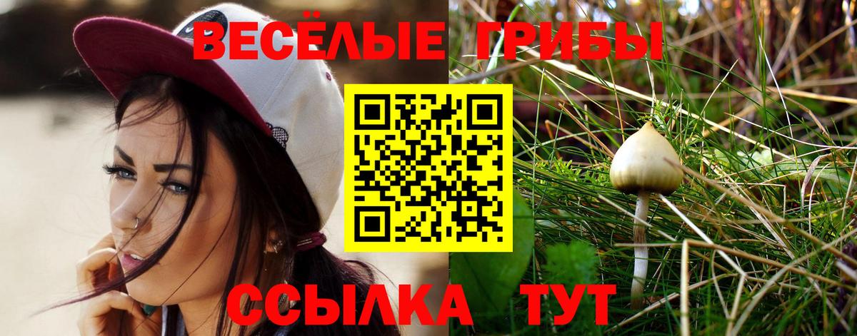 наркошоп  Вход с VPN  Россия  Галлюциногенные грибы MAGIC MUSHROOMS  Галлюциногенные грибы MAGIC MUSHROOMS 
