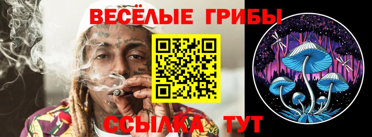 Псилоцибиновые грибы мицелий Россия